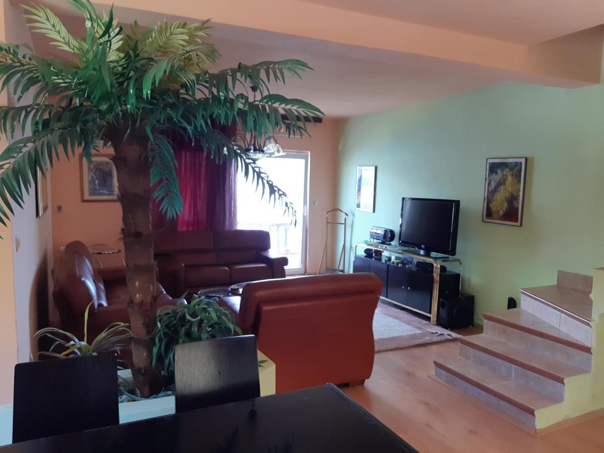 Villa Garden Apartments 赫尔采格诺维 外观 照片