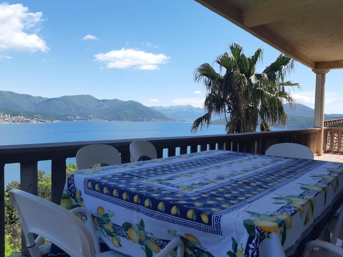 Villa Garden Apartments 赫尔采格诺维 外观 照片