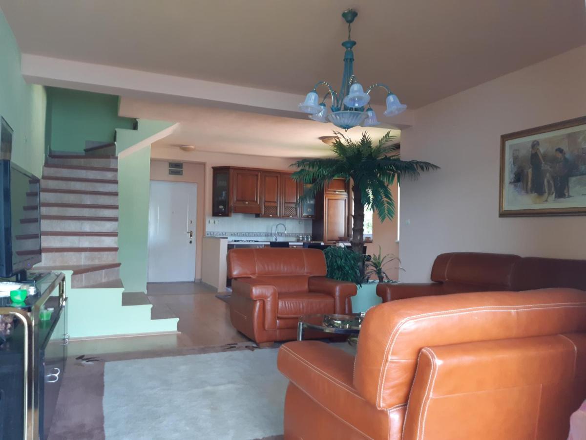 Villa Garden Apartments 赫尔采格诺维 外观 照片