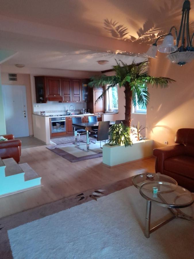Villa Garden Apartments 赫尔采格诺维 外观 照片